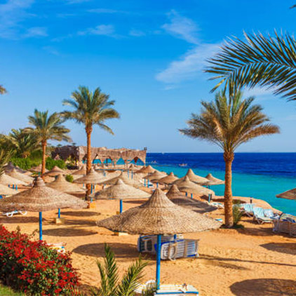 Sharm El-Sheikh (Egypt)