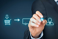 Governance and Management of High-Level Committees